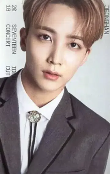 SEVENTEEN JEONGHAN 2018 IDEAL CUT IN SEOUL 15