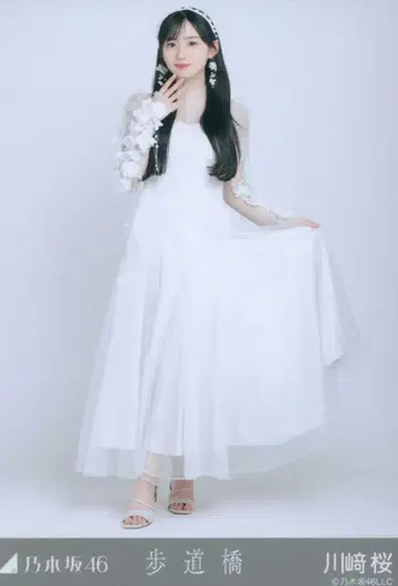 노기자카46 2025년 2월 랜덤 브로마이드 카와사키 벚꽃 길가에서 풀샷