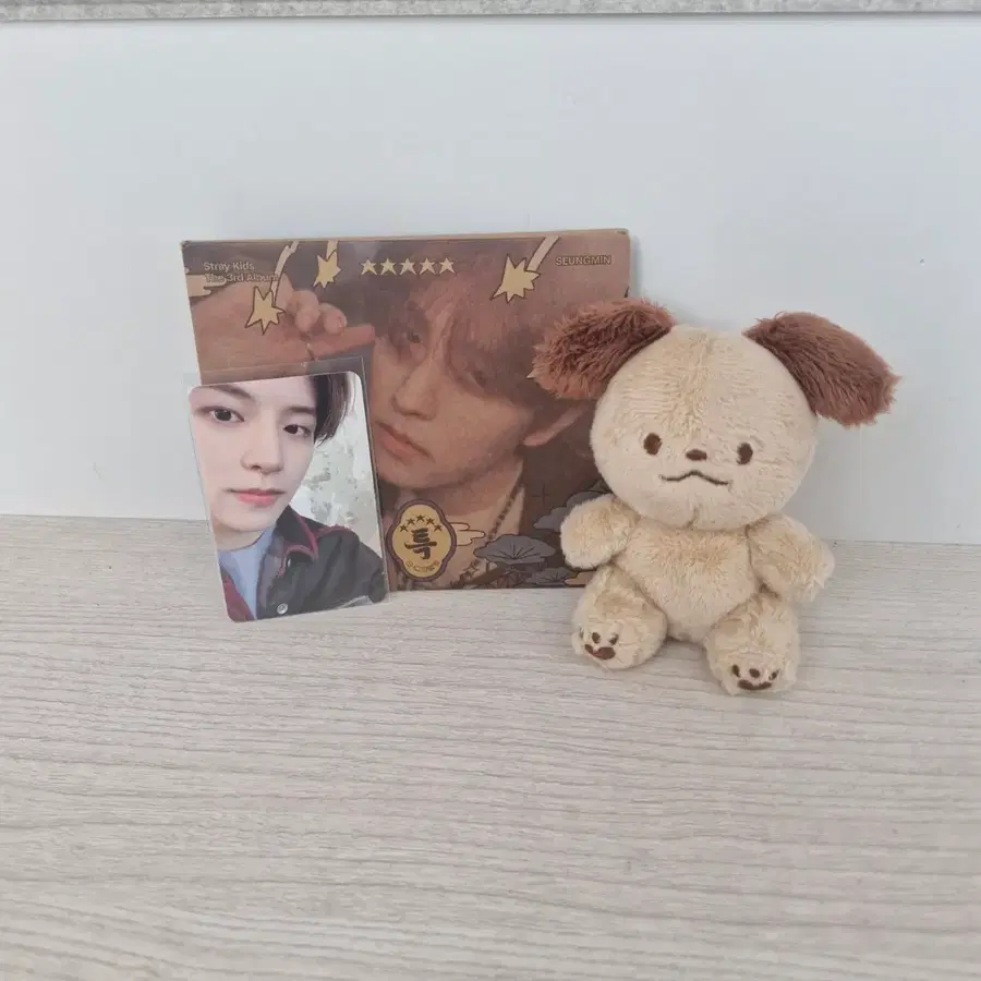 [급처]스트레이키즈 승민 비공굿 인형
