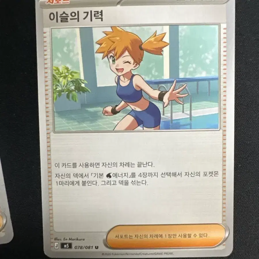 포켓몬 카드 이슬의 기력 카드 덱소스