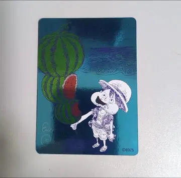 나츠코미 2026 ONE PIECE 루피 수박 키라 카드 24장 세트