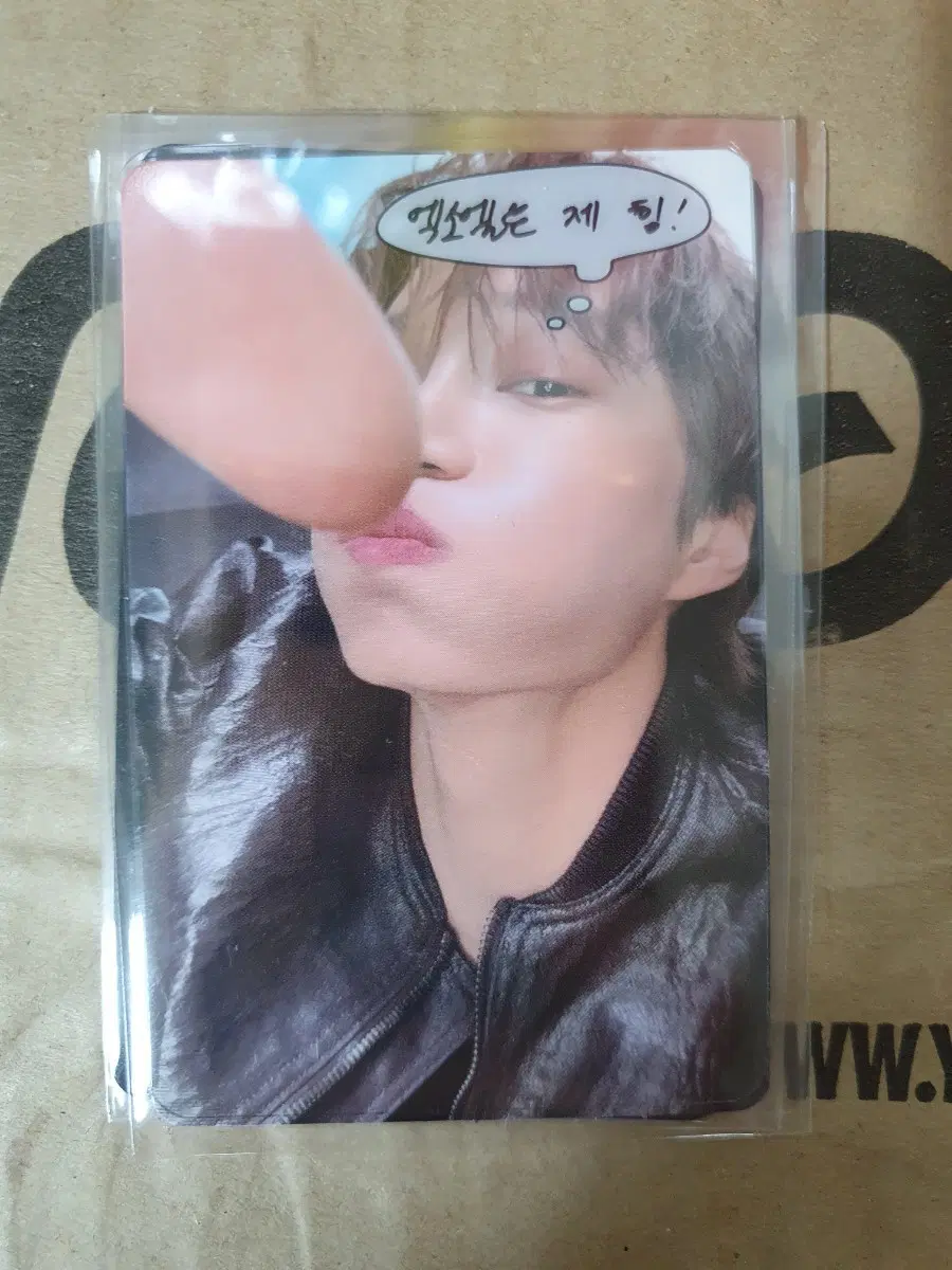 엑소 팝업 10만원 포카 카이