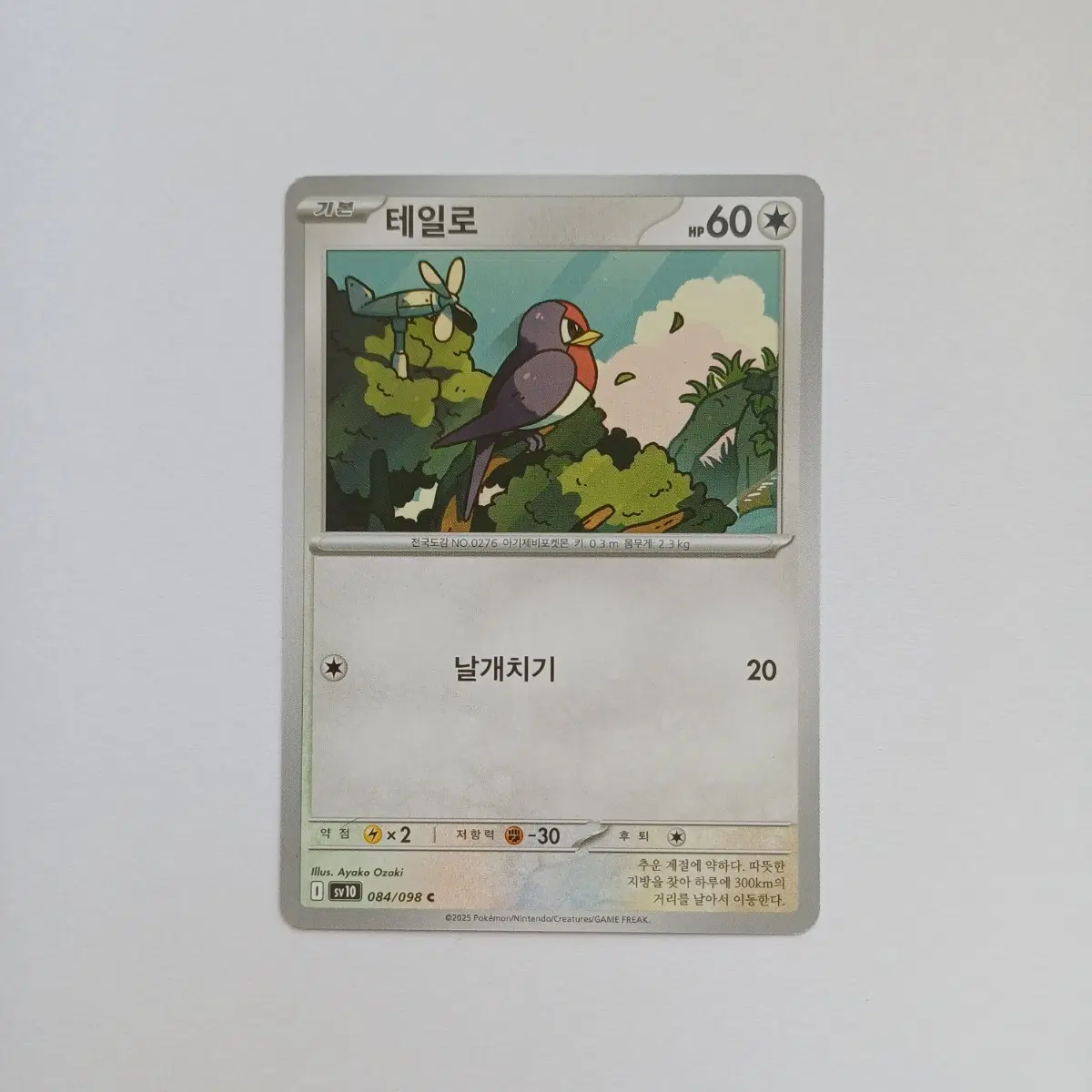 포켓몬카드 일반카드 도감용 덱소스 sv10 로켓단의 영광 테일로