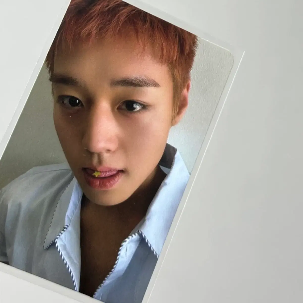 리플렉트 박지훈 포카