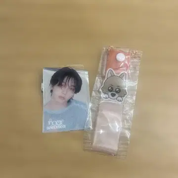 BOYNEXTDOOR 재희 클리어 트레이딩 카드 테이프 홀더 세트