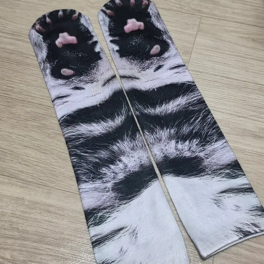 고양이 발바닥 양말