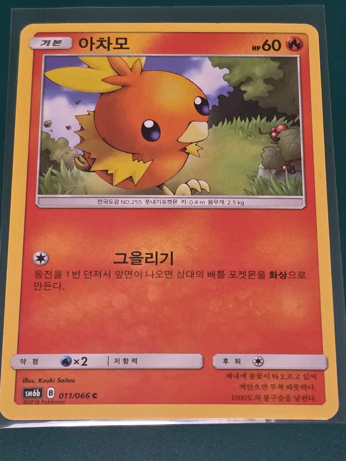 아차모 011 066 sm6b포켓몬카드