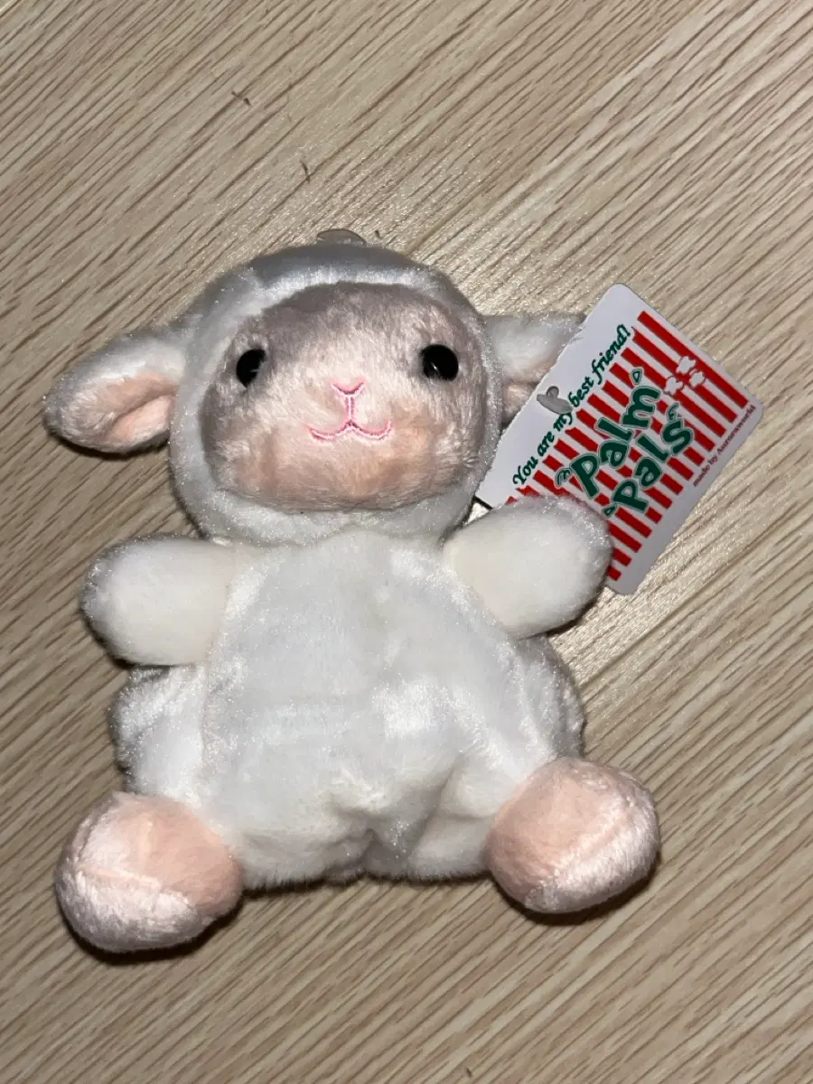 팜팜 양 인형