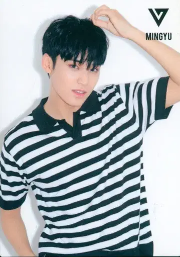 SEVENTEEN MINGYU 2017 DIAMOND EDGE IN JAPAN 22