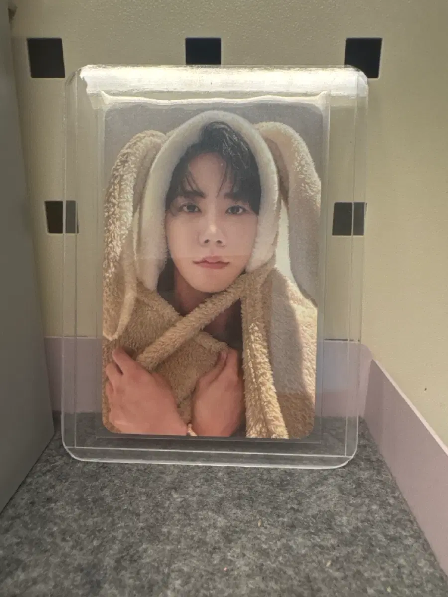 이준영 헬로라이브 토끼담요 포카 교환