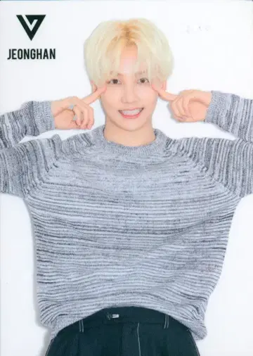 SEVENTEEN JEONGHAN 2017 DIAMOND EDGE IN JAPAN 8