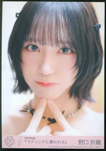 =LOVE 러브송에 습격당하는 노구치 이오리 봉입 특전 브로마이드 요리3