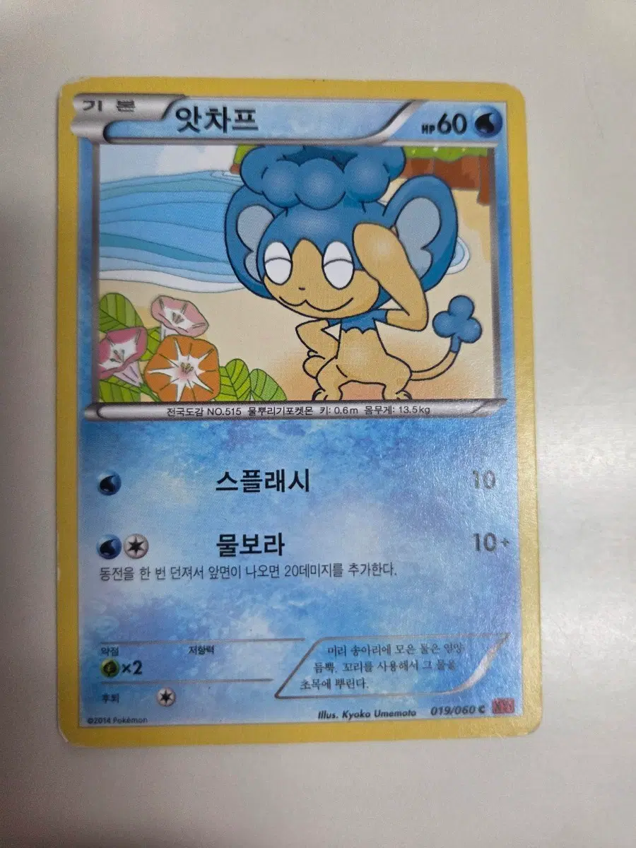 포켓몬 카드 XY1 앗차프 019/060 C