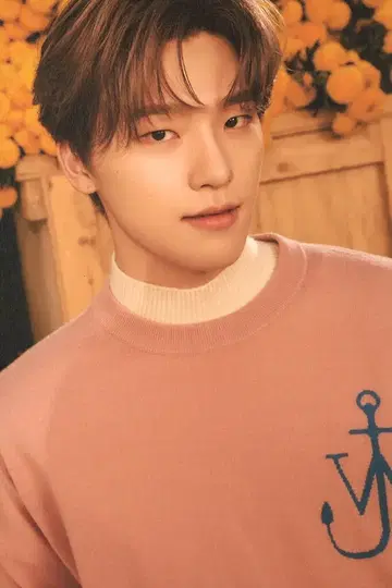SEVENTEEN Your Choice DINO 엽서