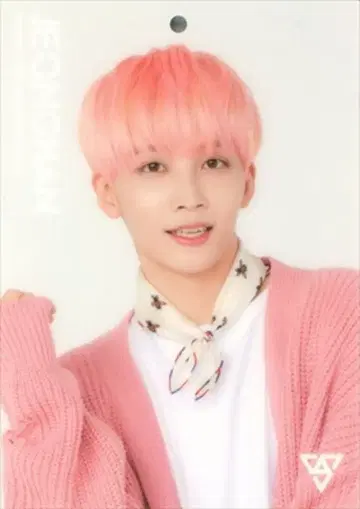 세븐틴 정한 2018 SVT 36