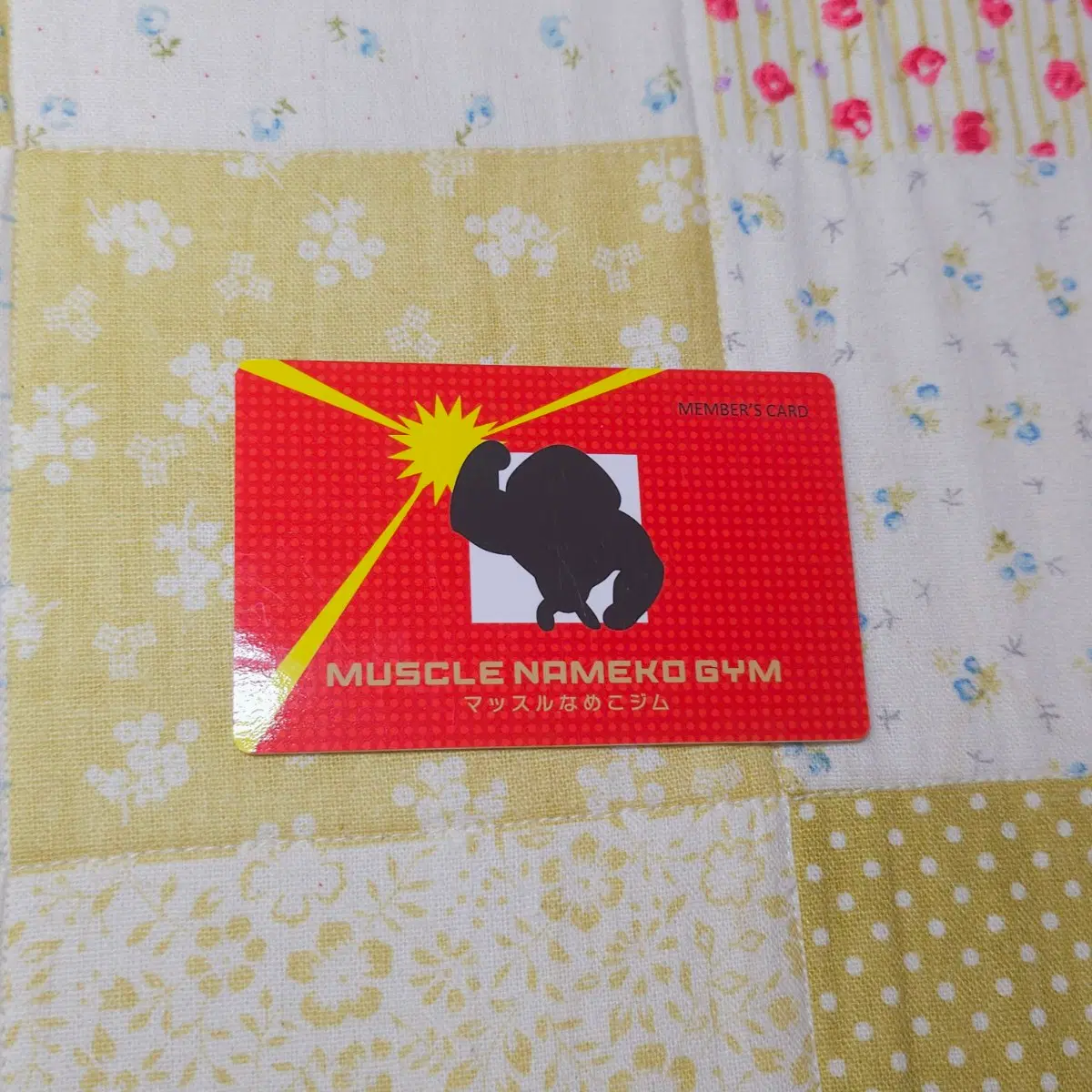 [일본정품] 고전 나메코 카드