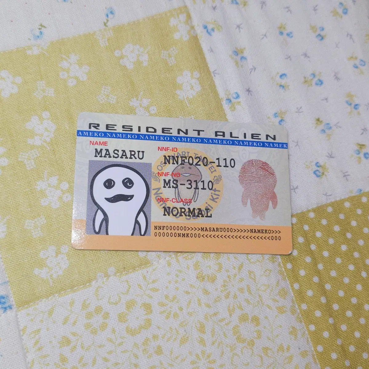 [일본정품] 고전 나메코 카드