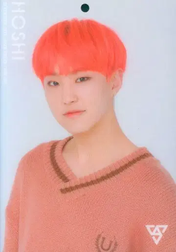 SEVENTEEN HOSHI 2018 SVT 39