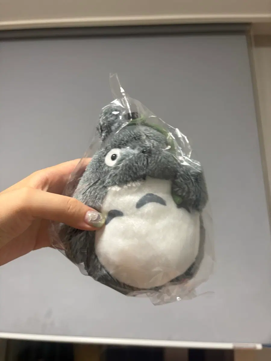 토토로 인형 팔아여