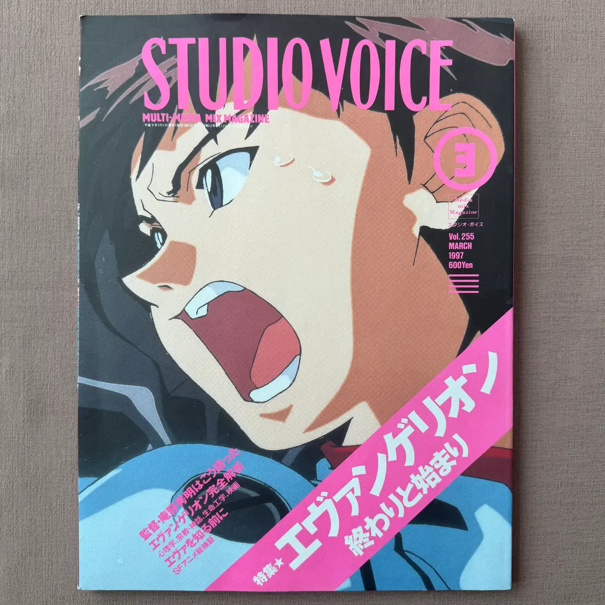 STUDIO VOICE 9703 255 일본 컬처 잡지 에반게리온 레트로