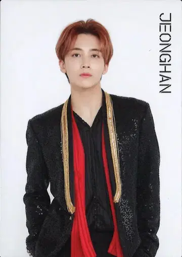 세븐틴 정한 2018 아이디얼 컷 인 재팬 6