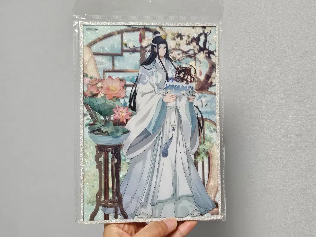 마도조사 남망기 색지(애니메이트)