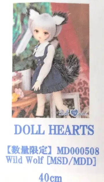 DOLLHEART MSD/MDD 와일드 울프 MD000508