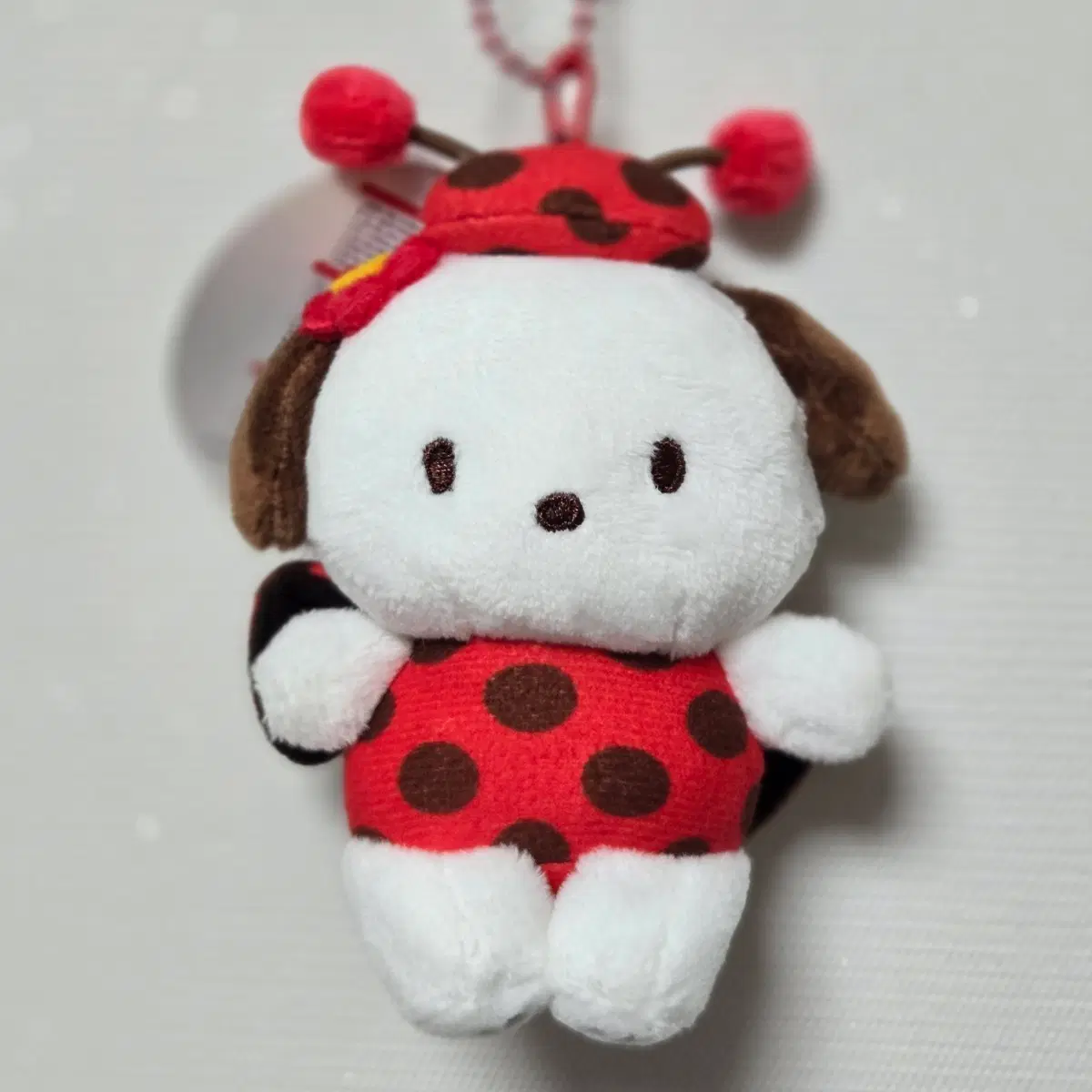 산리오 포차코 무당벌레 인형 키링