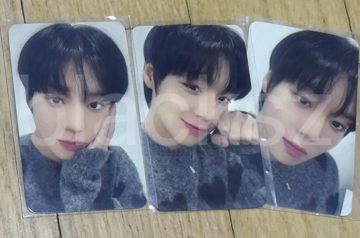 박지훈 2023 생일카페 포토카드(3장 일괄)