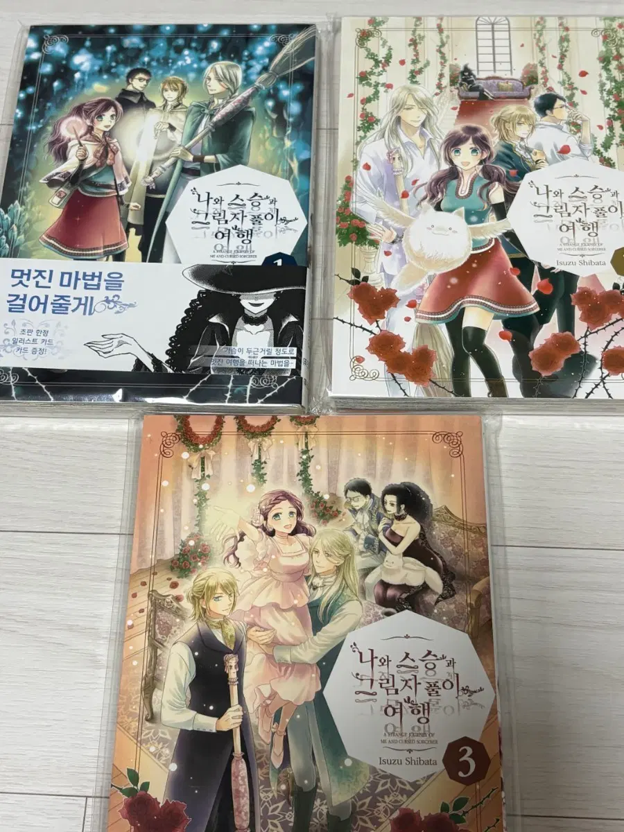 나와 스승과 그림자풀이 여행 1, 2, 3권 완결