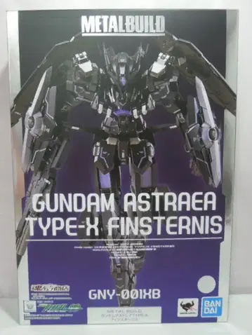 BANDAI SPIRITS METAL BUILD 건담 아스트레아 TYPE-X 핀 스타니스