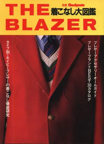 THE BLAZER 코디 대도감