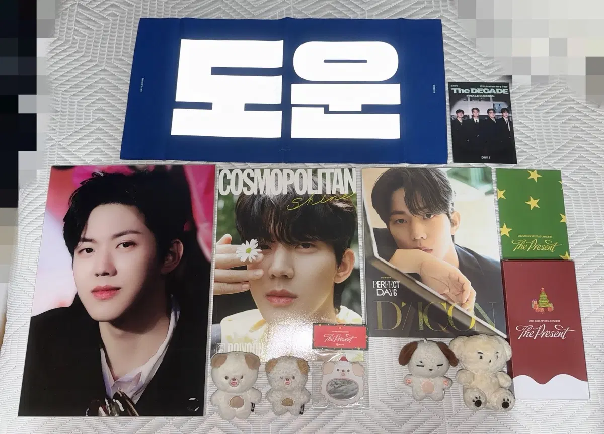 데이식스 도운 굿즈 일괄판매 (액자 쁘띠멀즈 입장키트 코스모폴리탄 디아이콘 슬로건 등등)