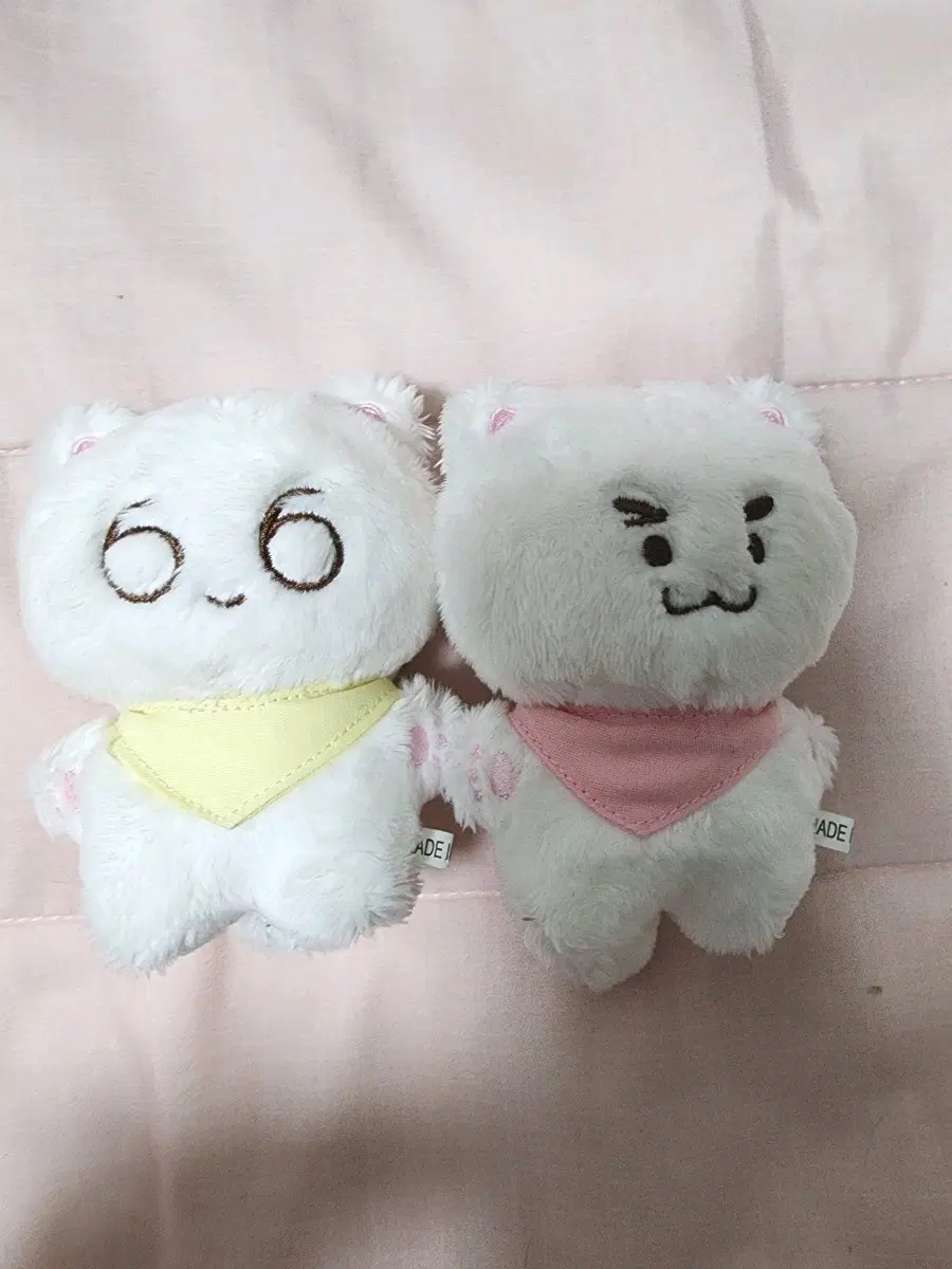 샤이니 비공굿 인형