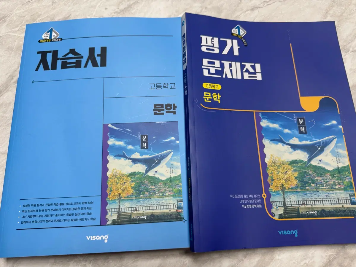 비상 문학 자습서, 평가 문제집 세트