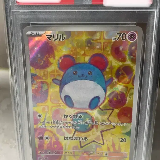포켓몬카드 일본판 마릴 #748/742 PSA 10 GEM MINT