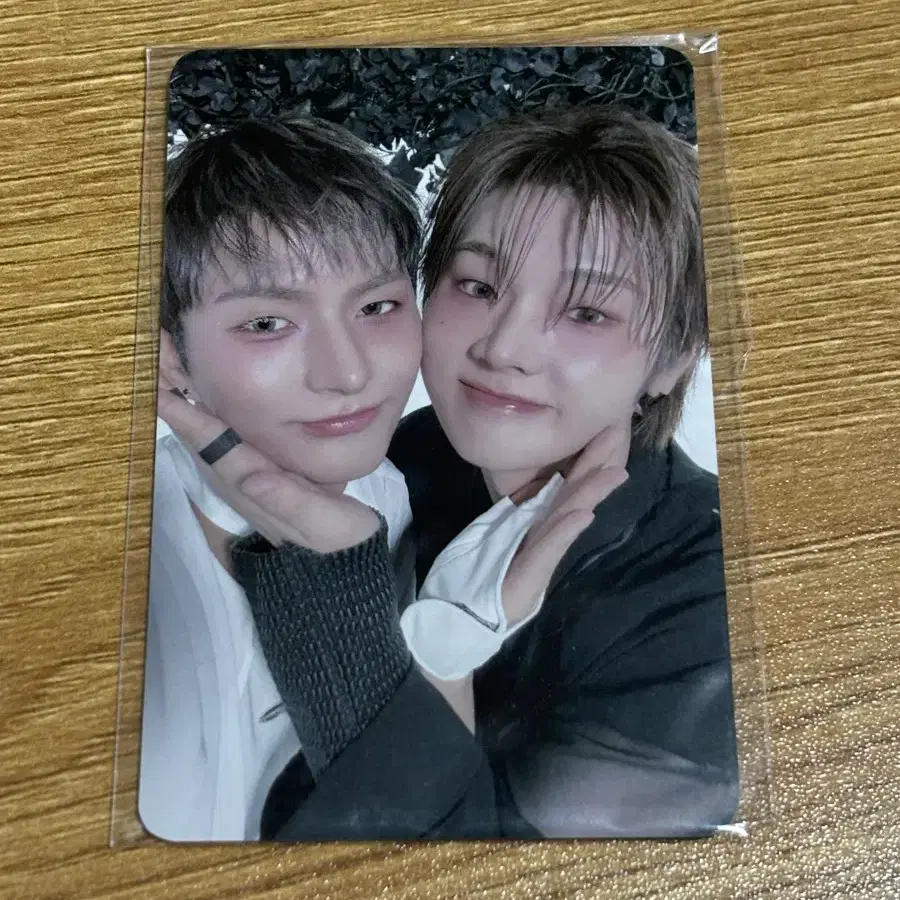 엑디즈 정수 오드 유닛포카 건반쪽즈