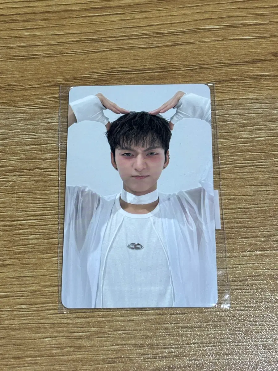 엑디즈 오드 고양이귀 포카