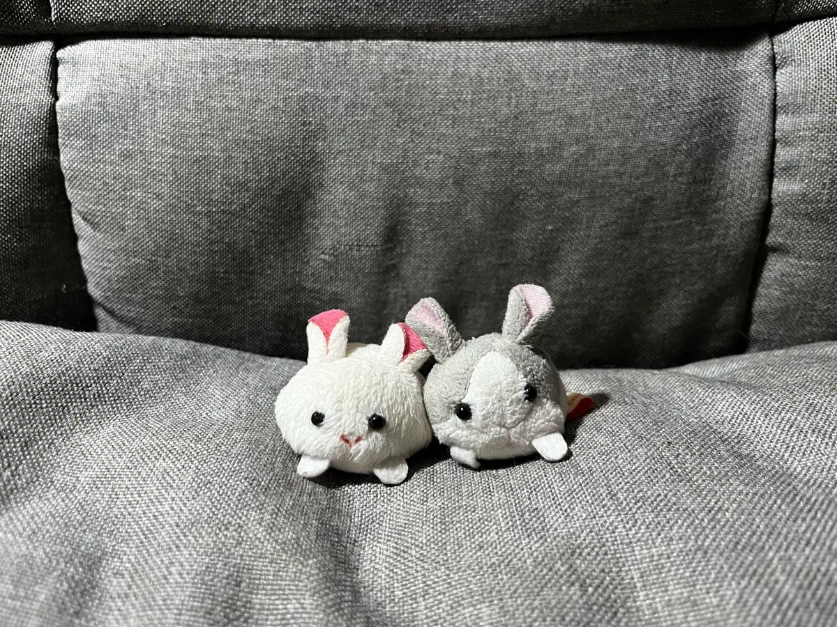 [일괄] 토끼 인형