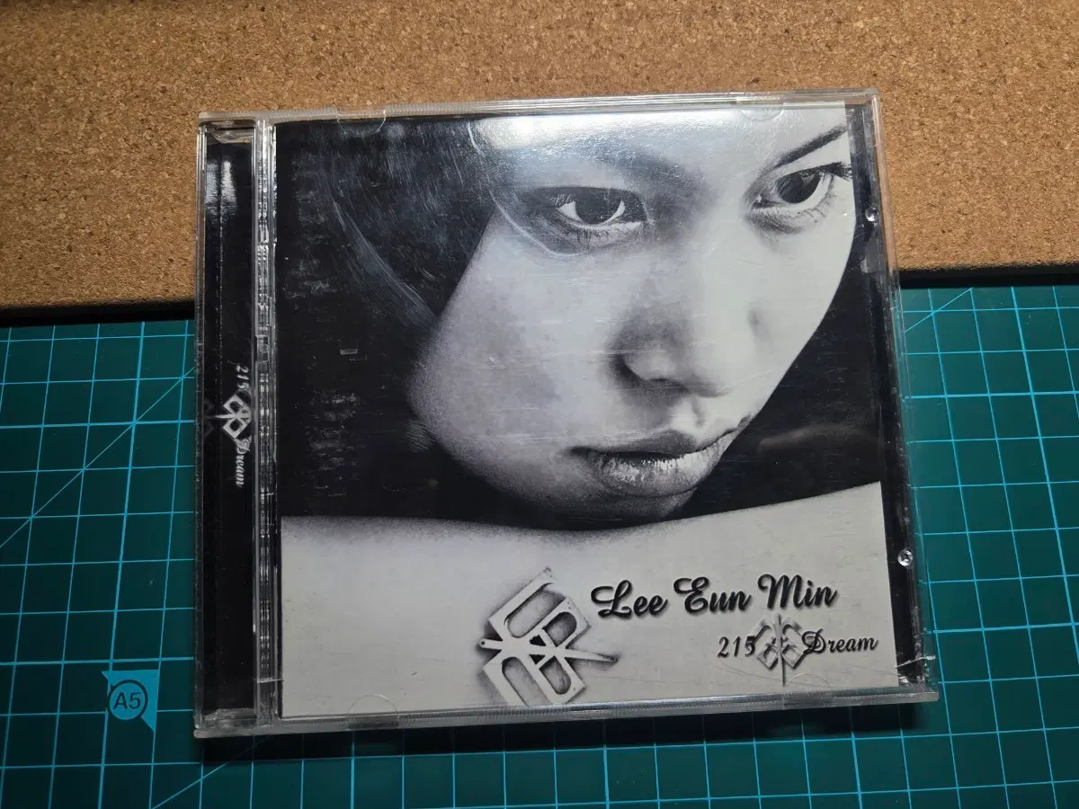 이은민 215 Dream CD