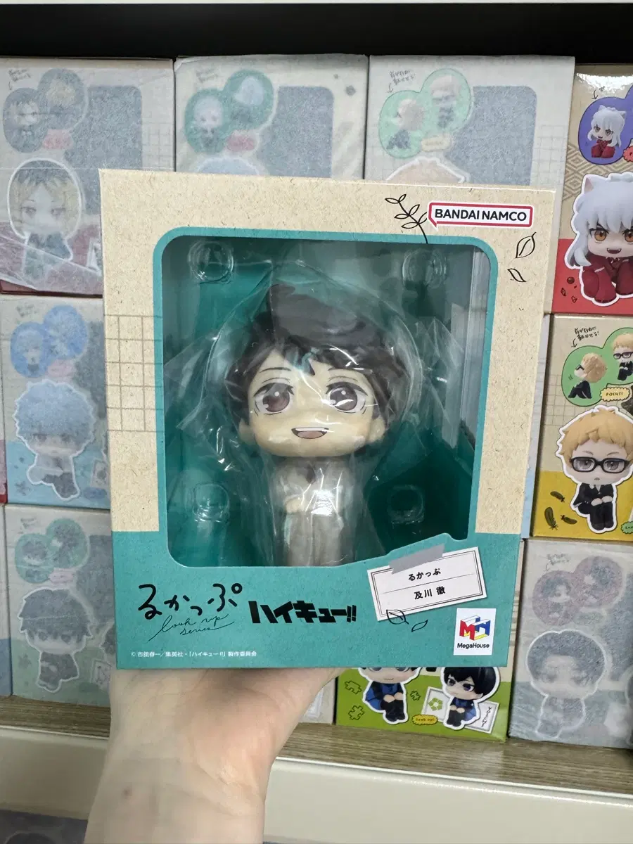 오이카와 카오루 교복 버전 룩업 재판(미개봉,방석불포)