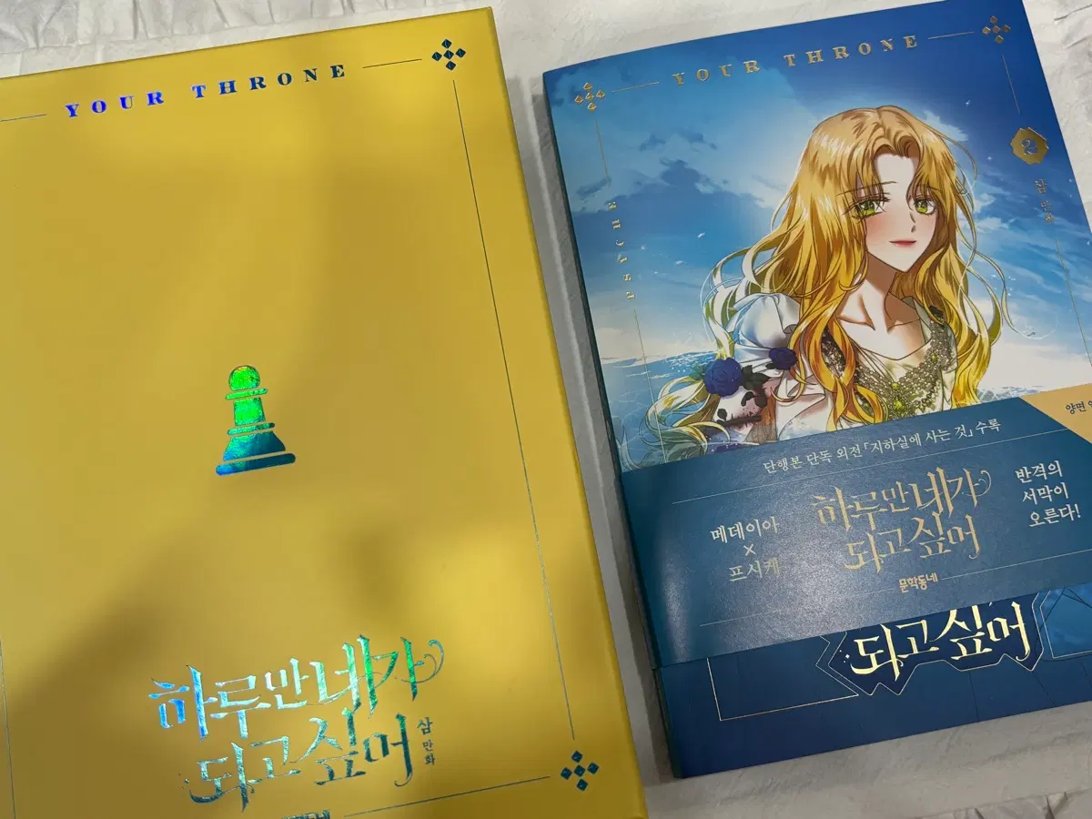 하루만 네가 되고싶어 단행본