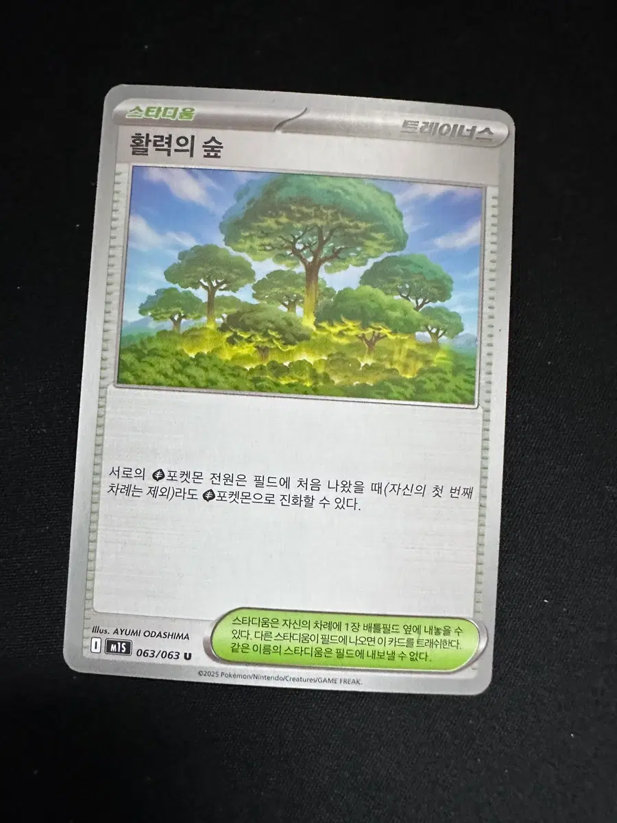 포켓몬 카드 스타디움 활력의 숲 덱소스