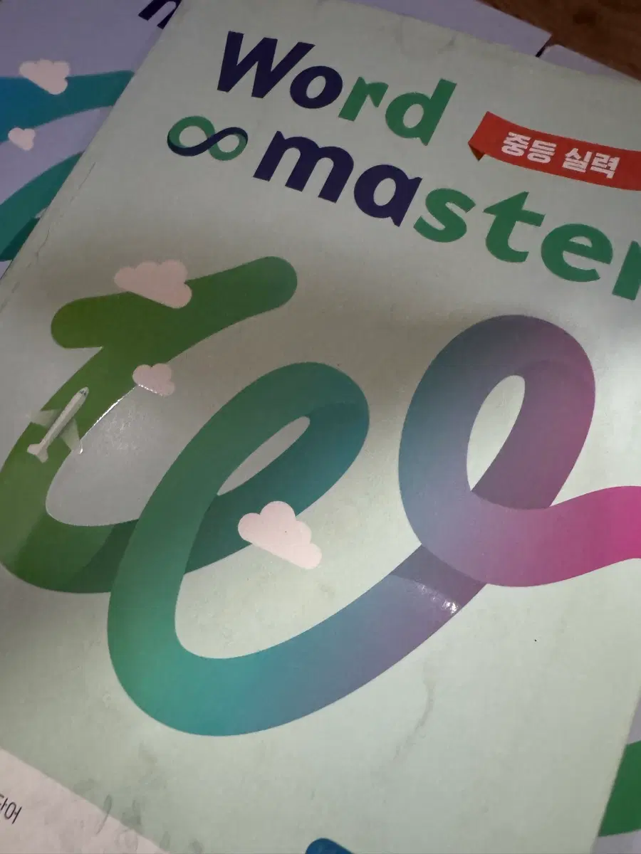 워드마스터 중등 실력