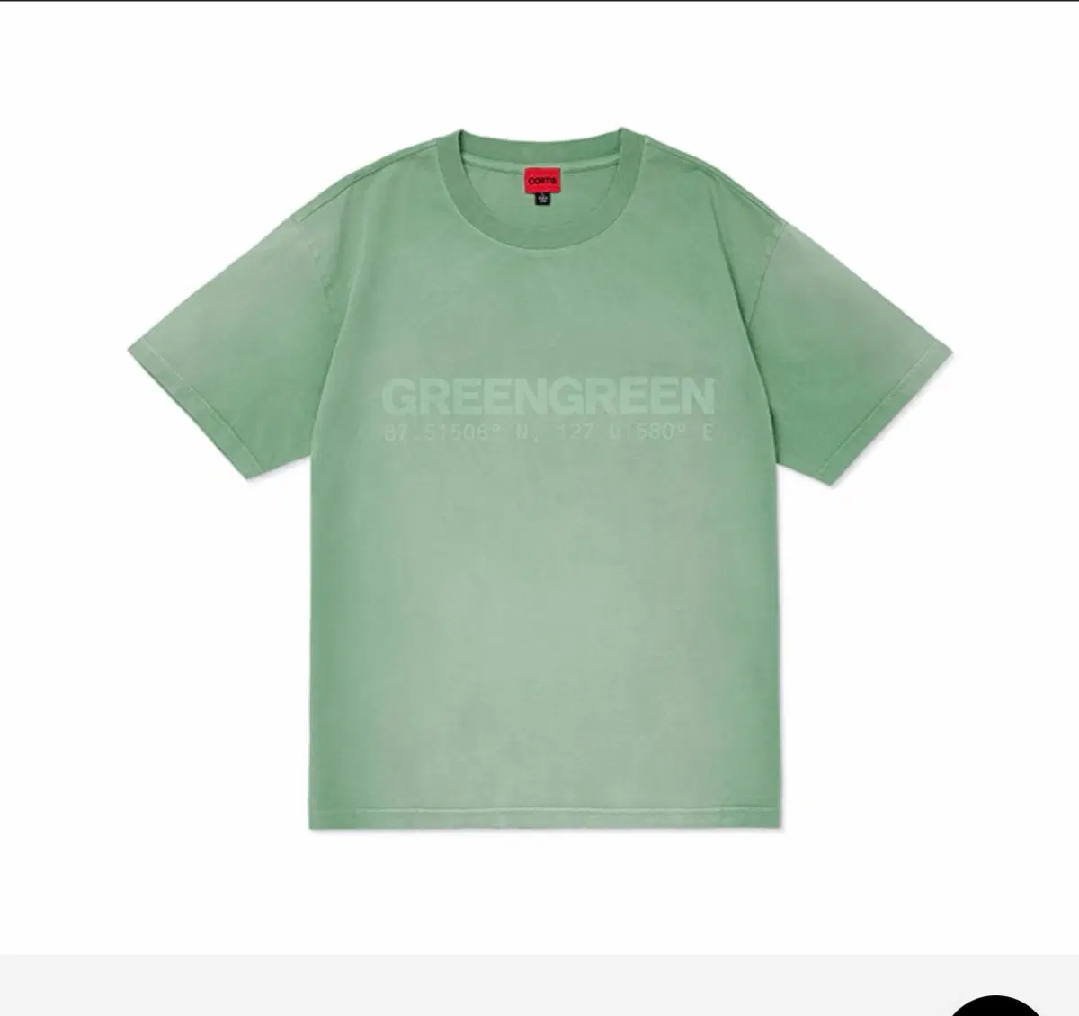 S/S T-Shirt_CORTIS BRIDGE (Green) M