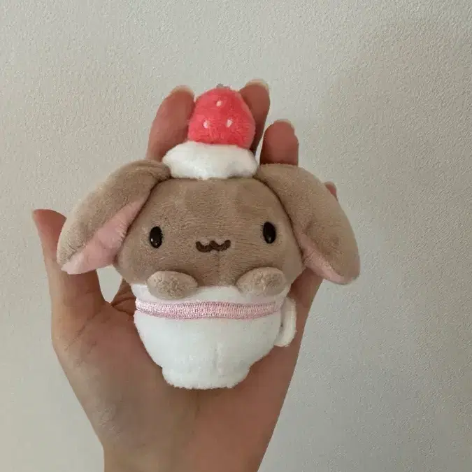 히나쿠우 롭이어토끼