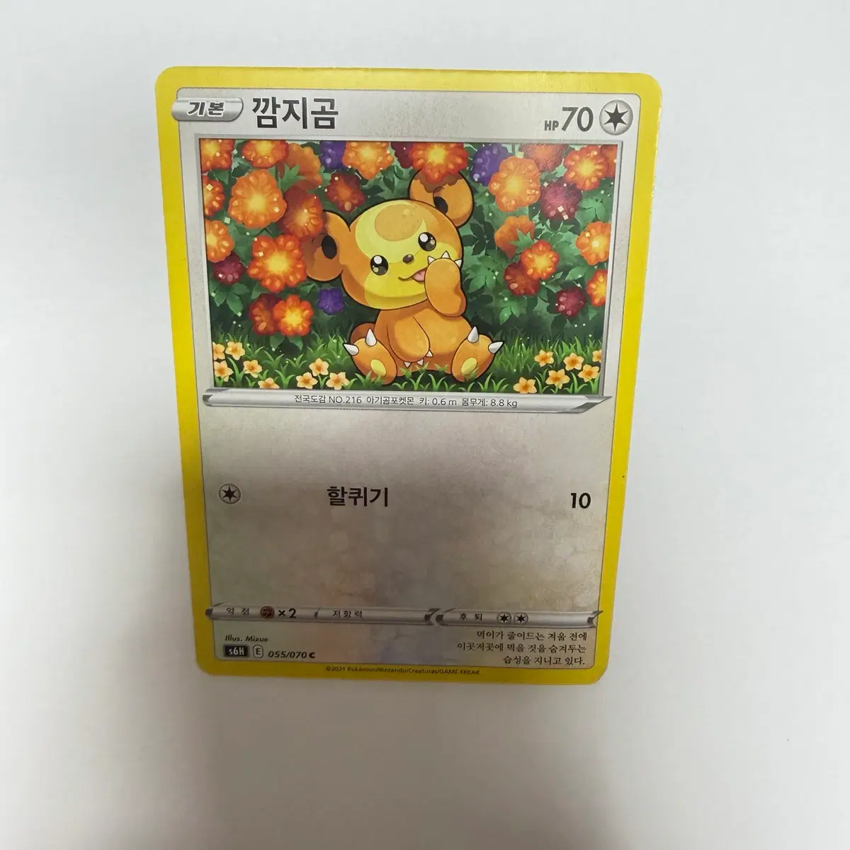 깜지곰 포켓몬카드
