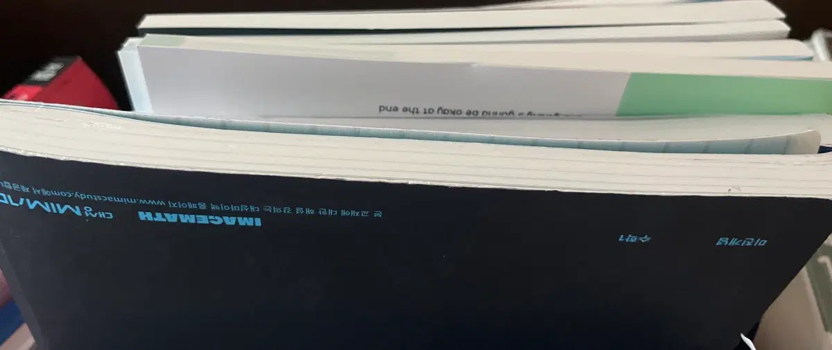 대성마이맥 자이스토리 확률과 통계 이투스 이지영 사회문화 교재 이미지 커리