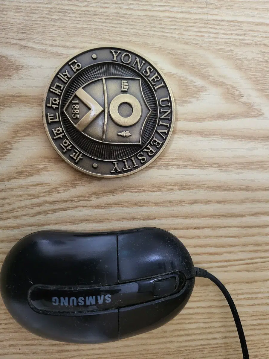 연세대학교 화학과 문진