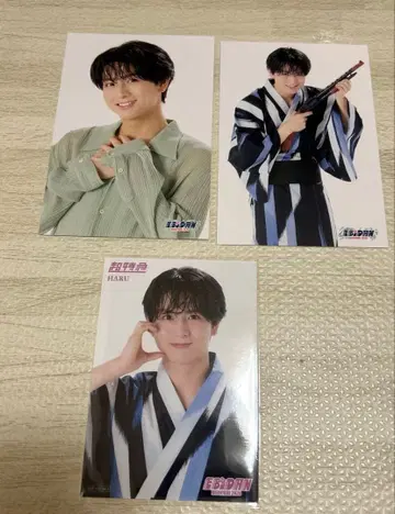 EBiDAN museum 2026 초특급 하루